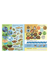 The Usborne  Little Childrens Activity Book Nature